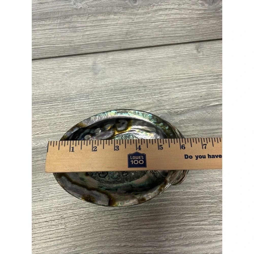 Large Abalone Seashell Iridescent Bowl Beach Home‎ Decor Pearl A3